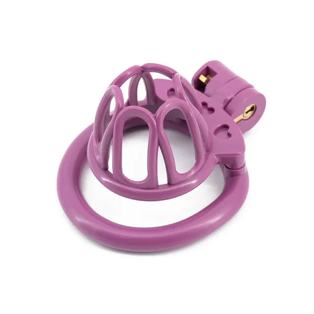 Sissy Chastity Cage With 4 Rings