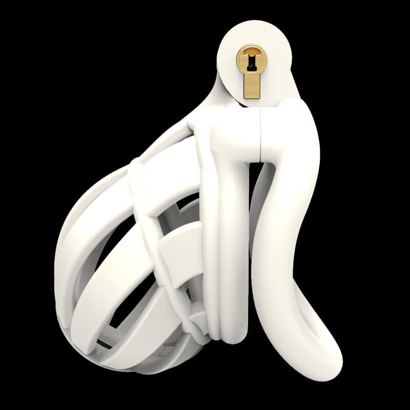 3D Wide Head Stegosaurus Chastity Device Kit