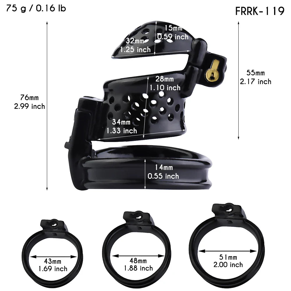 Breathable Plastic Chastity Cage with Dual Locks