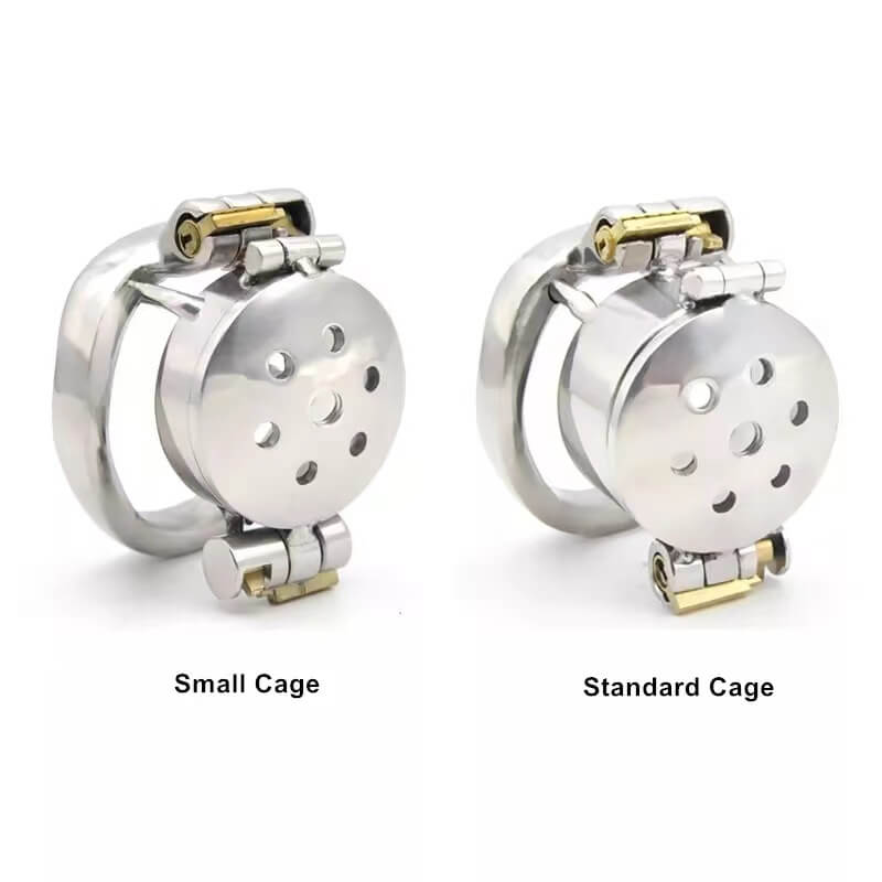 Cage de chasteté avec couvercle rabattable à double verrouillage