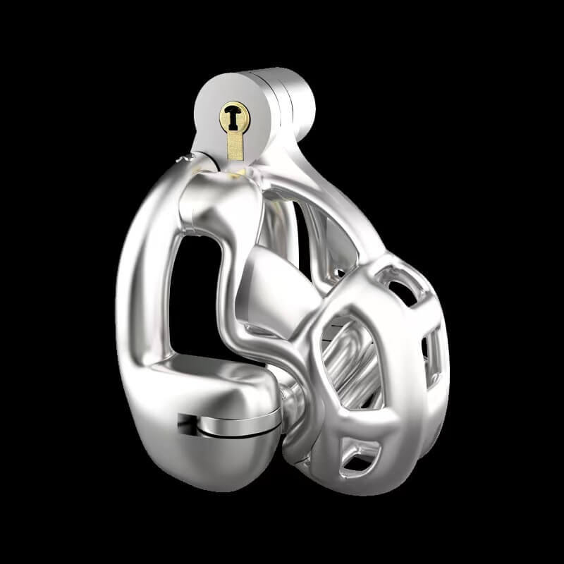 Stainless Steel Double-Lock Mamba Chastity Cage