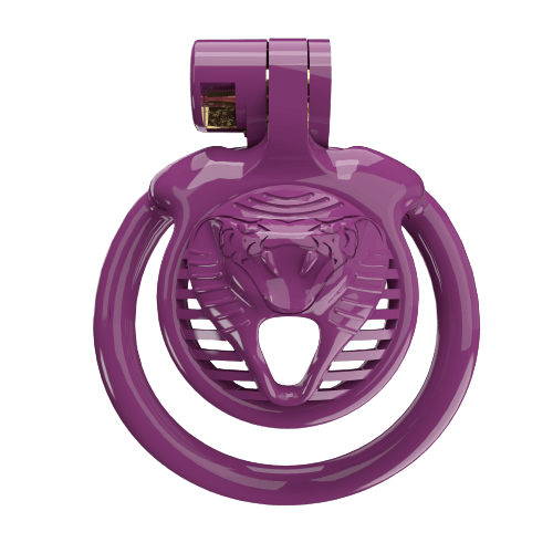 Cage de chasteté Sissy CX-4 super petite avec 5 anneaux en arc