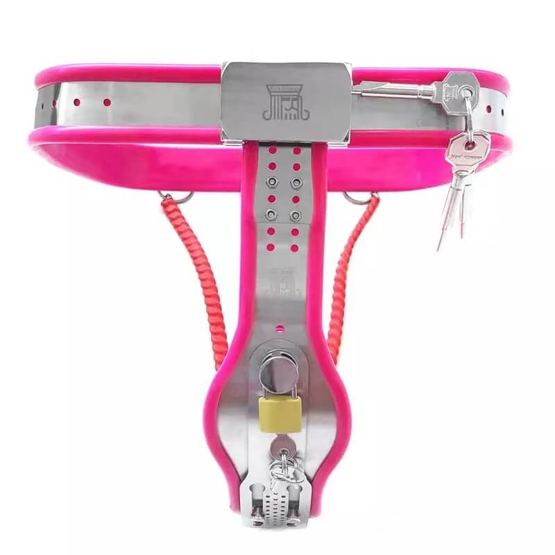Ceinture de chasteté féminine en acier inoxydable pour sous-vêtements