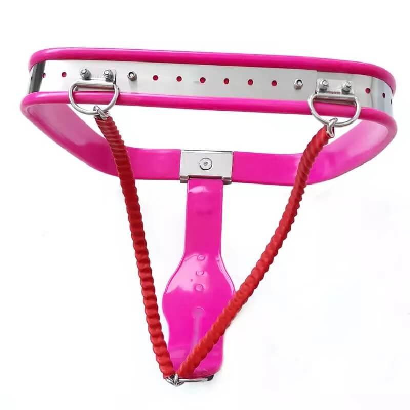 Ceinture de chasteté féminine en acier inoxydable pour sous-vêtements