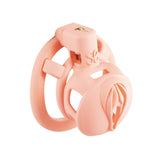 3D  Pussy Chastity Cage