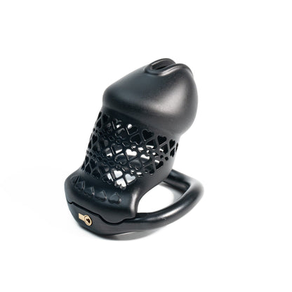 Beginner-Friendly 3D Printed Resin Chastity Prison