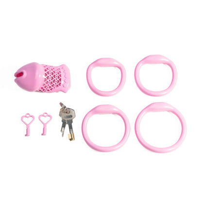 Beginner-Friendly 3D Printed Resin Chastity Prison