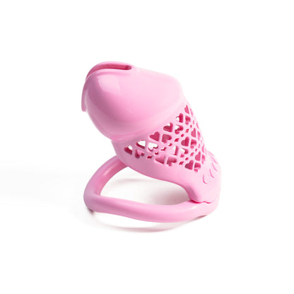 Beginner-Friendly 3D Printed Resin Chastity Prison