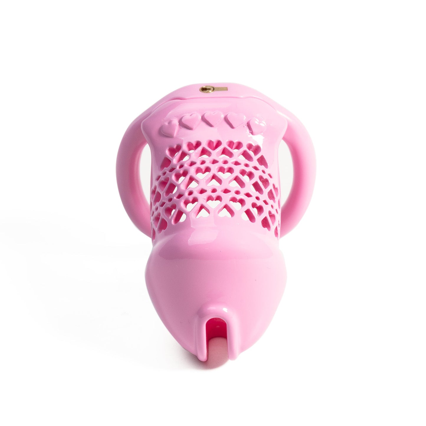 Beginner-Friendly 3D Printed Resin Chastity Prison
