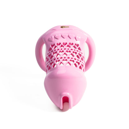 Beginner-Friendly 3D Printed Resin Chastity Prison