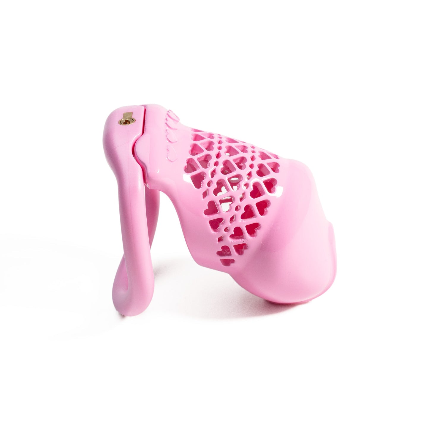 Beginner-Friendly 3D Printed Resin Chastity Prison