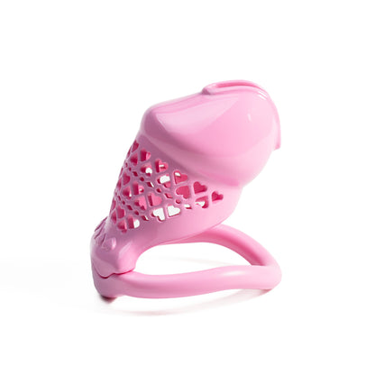 Beginner-Friendly 3D Printed Resin Chastity Prison