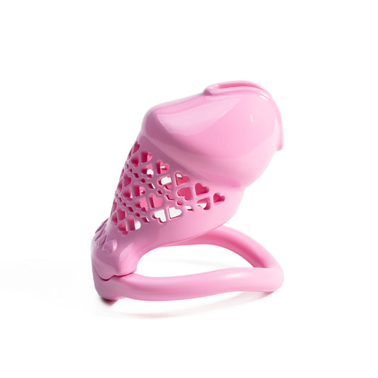 Beginner-Friendly 3D Printed Resin Chastity Prison