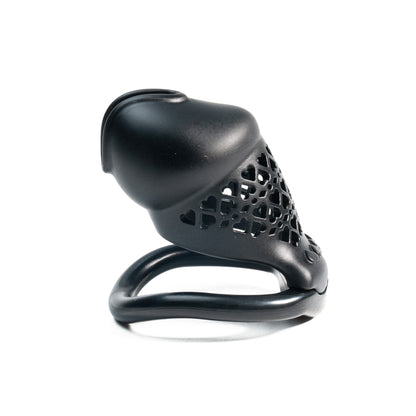 Beginner-Friendly 3D Printed Resin Chastity Prison