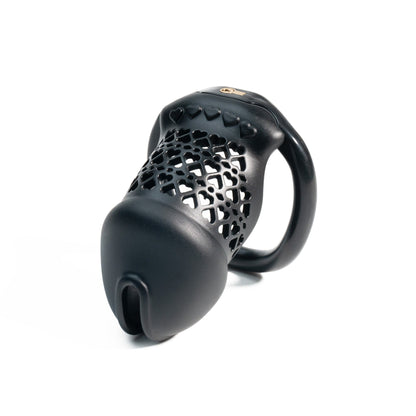 Beginner-Friendly 3D Printed Resin Chastity Prison