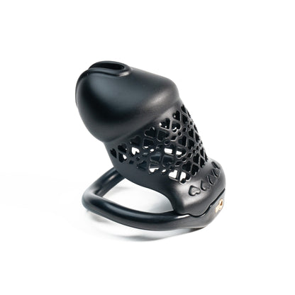 Beginner-Friendly 3D Printed Resin Chastity Prison