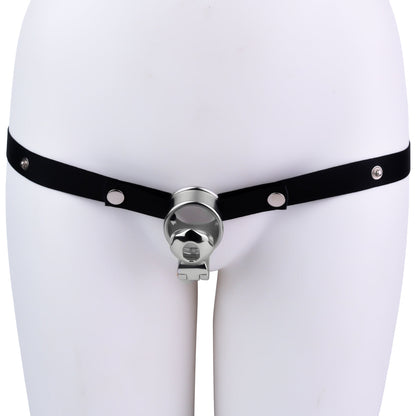 Concealed Clitoral Locking Device