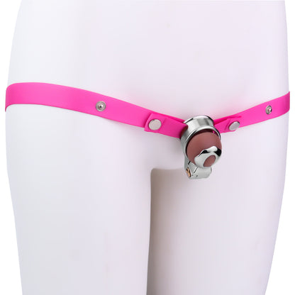 Concealed Clitoral Locking Device