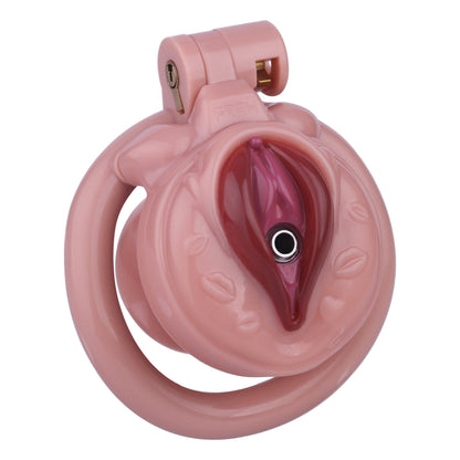 DIY Pussy Cock Cage - 3