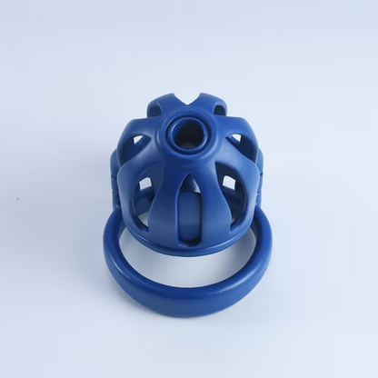 Dragon Prison Steel Custom Chastity Cage