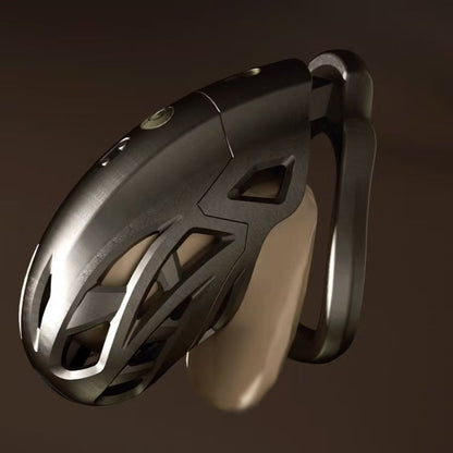 Dragon Taming Master App Electric Shock Chastity Cage 5