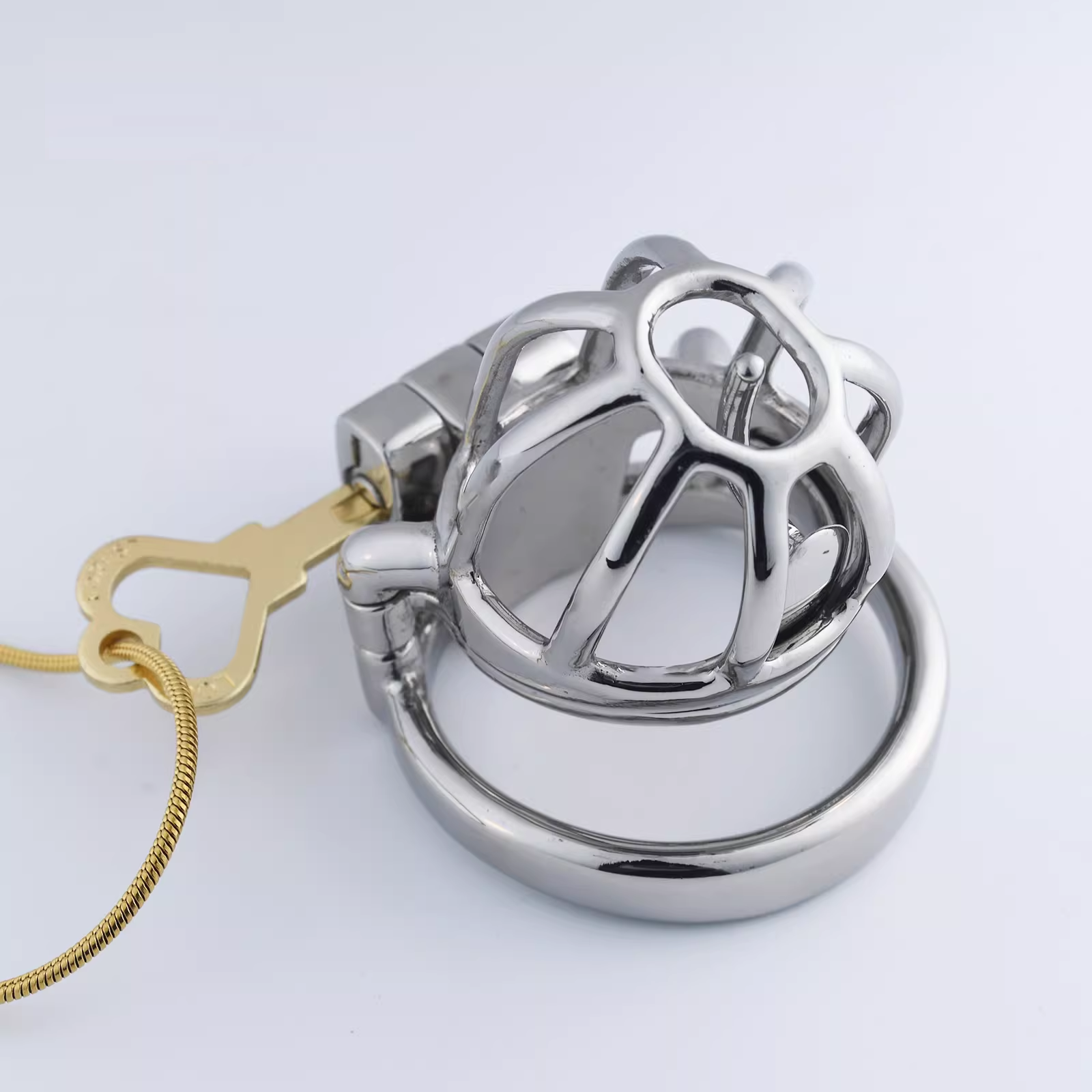 Steel Custom Chastity Cage With PA T14 - 4