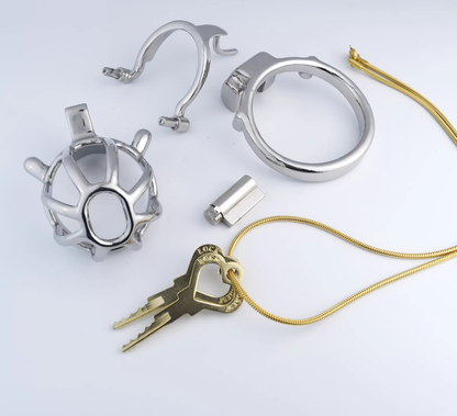 Steel Custom Chastity Cage With PA T14 - 2