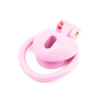 Heart Shape Chastity Cage -9
