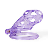 Cage de chasteté Cobra violet Ice Vision Design