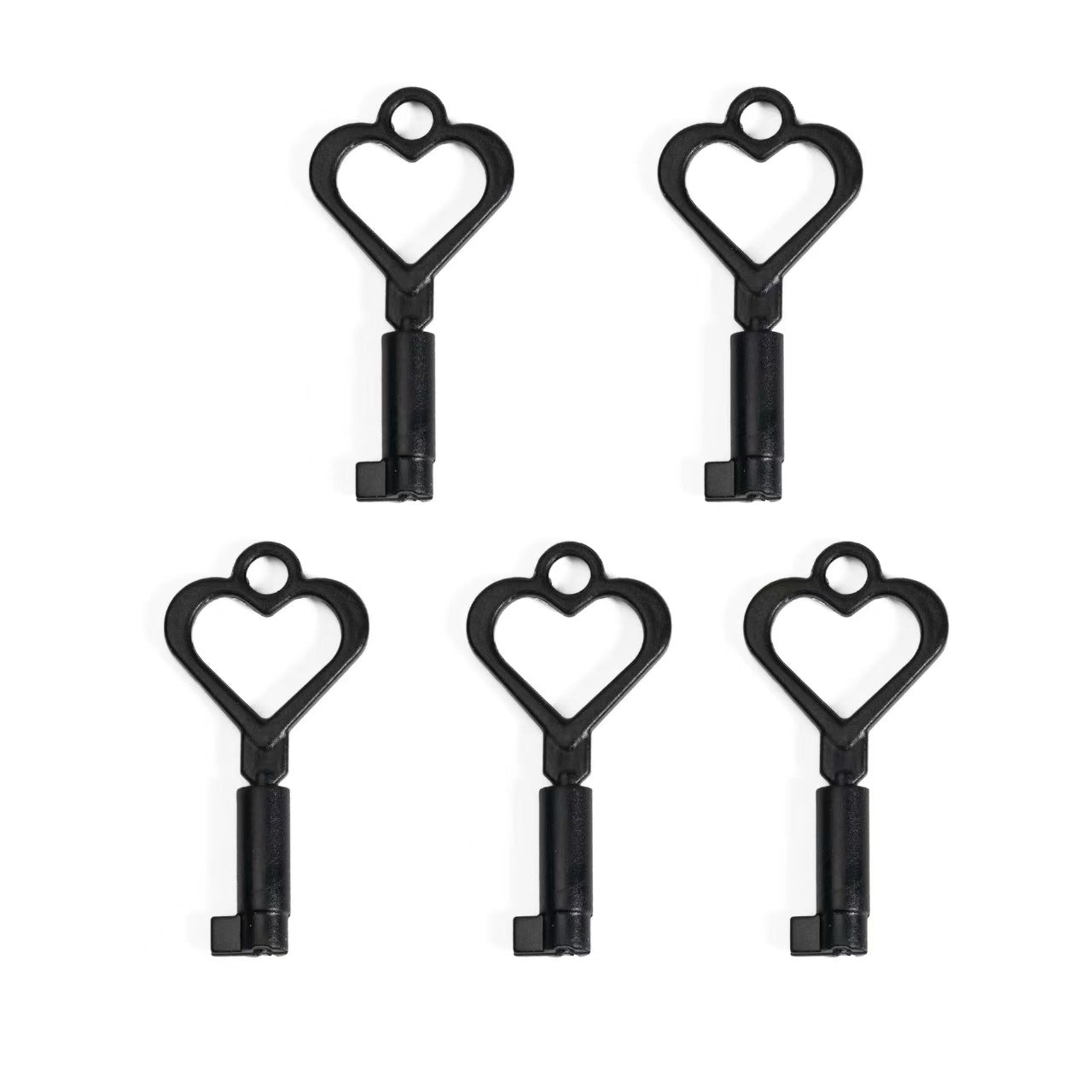 Plastic Keys For Chastity Cage -  Big Lock Version 14