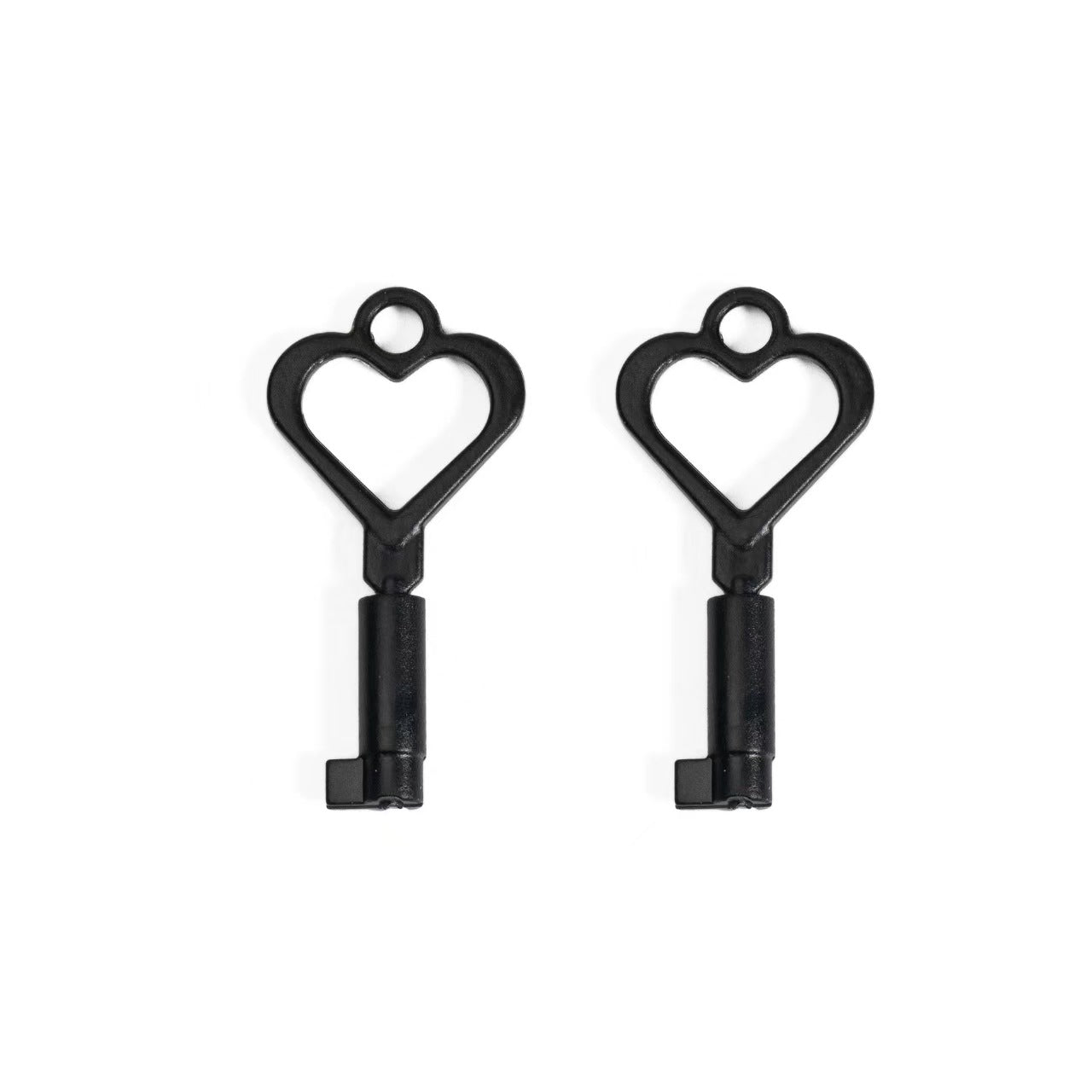 Plastic Keys For Chastity Cage -  Big Lock Version 12