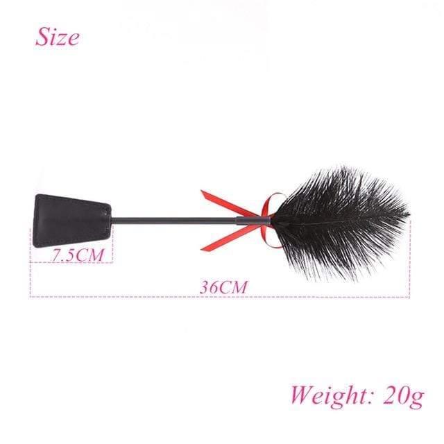 Reward and Punishment Feather Whip - additional view 6