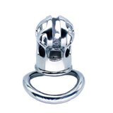 Permanent Stainless Steel Chastity Cage