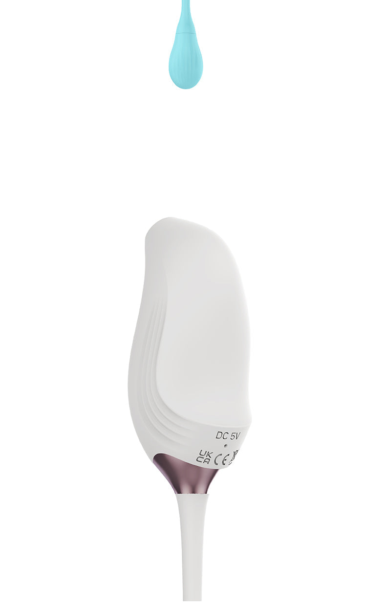 dildo vibrator App Controlled Pulse Bird Female Sucking Massager  - 19
