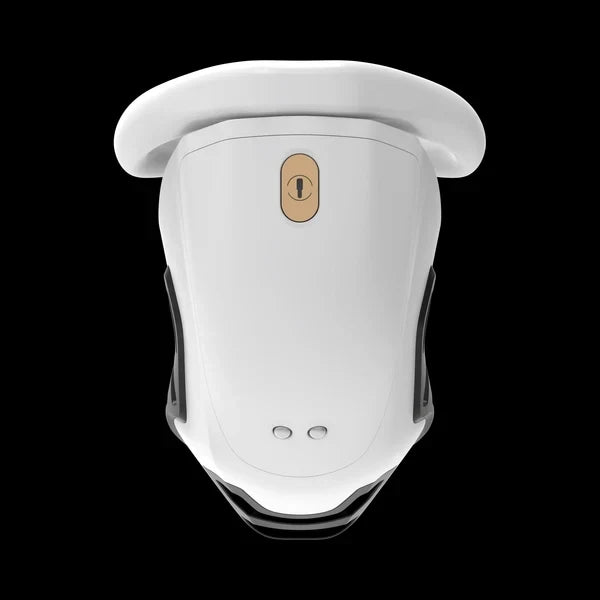QIUI ThrillCage Vibrating Chastity Cage with Remote Control