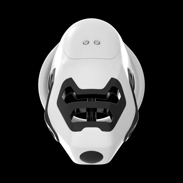 QIUI ThrillCage Vibrating Chastity Cage with Remote Control