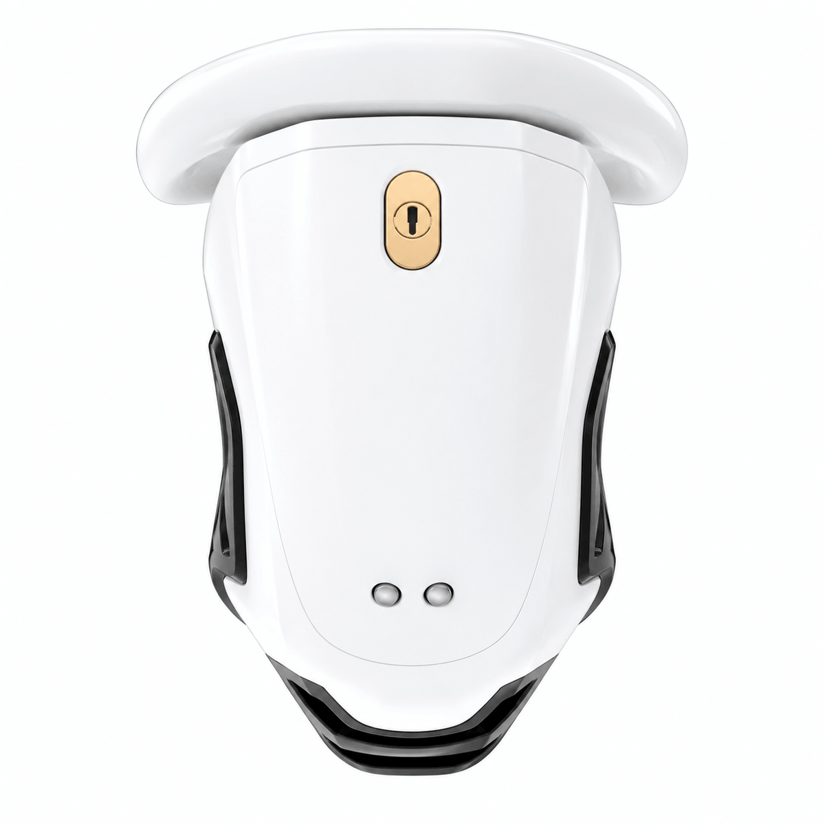 QIUI ThrillCage Vibrating Chastity Cage with Remote Control