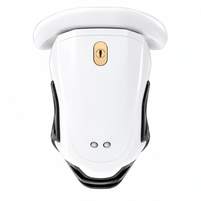 QIUI ThrillCage Vibrating Chastity Cage with Remote Control