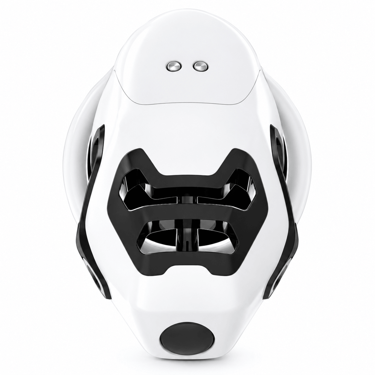 QIUI ThrillCage Vibrating Chastity Cage with Remote Control