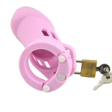 CB6000 Silicone Chastity Cage Pink