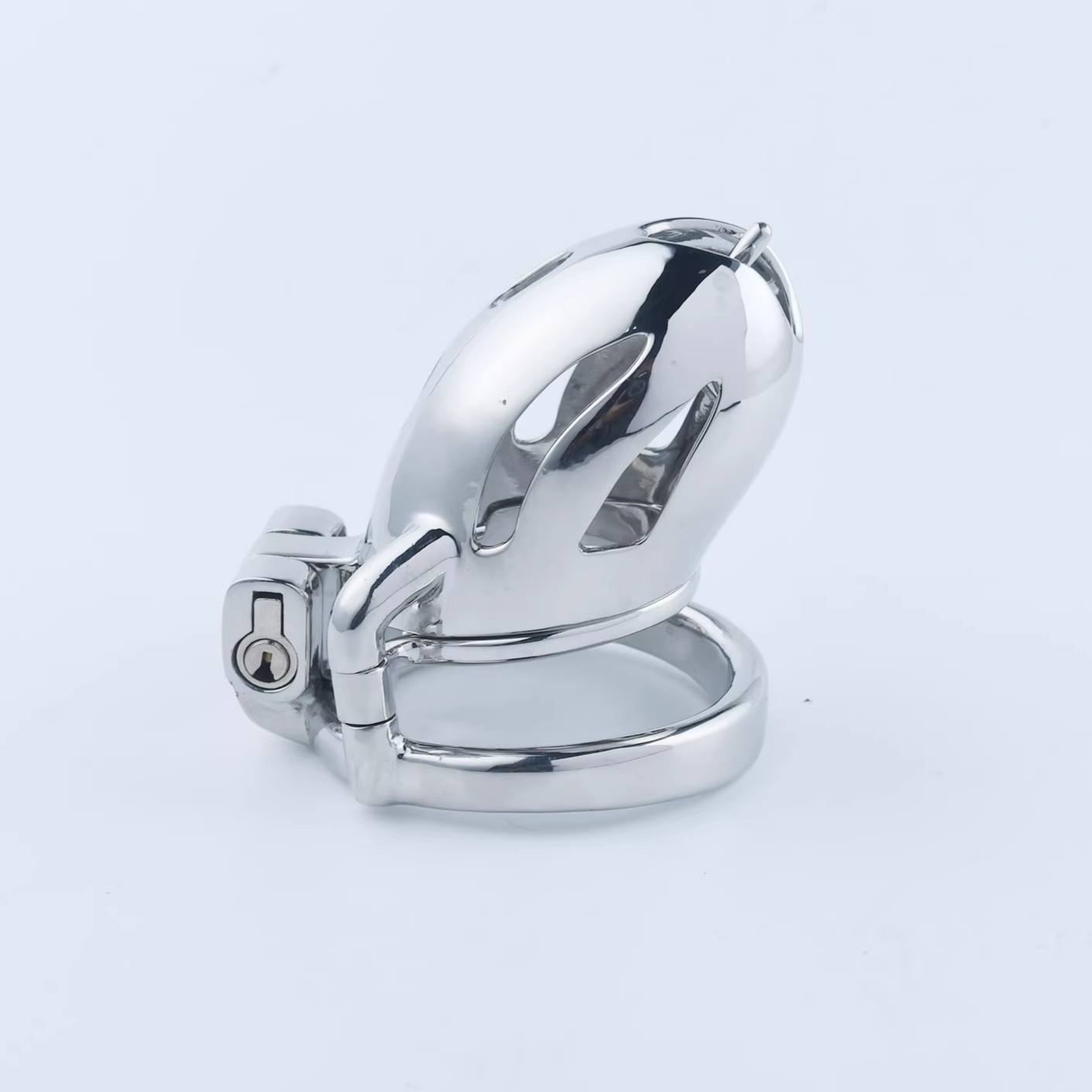 Steel Custom Chastity Cage With PA T12 - 1