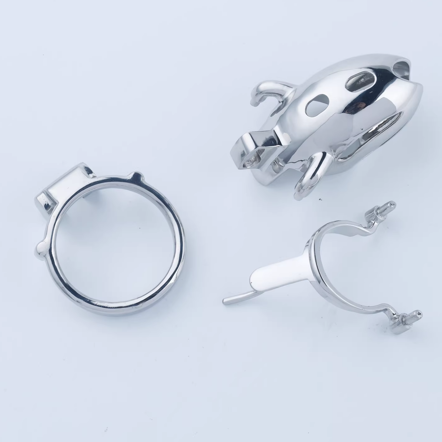 Steel Custom Chastity Cage With PA T12 - 5
