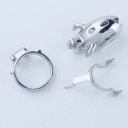 Steel Custom Chastity Cage With PA T12 - 5
