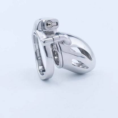 Steel Custom Chastity Cage With PA T12 - 6