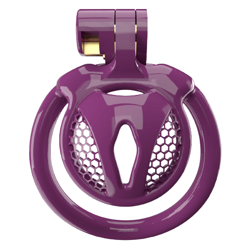 Super Small CX-2 Sissy Chastity Cage With 5 Arc Rings - additional view 3